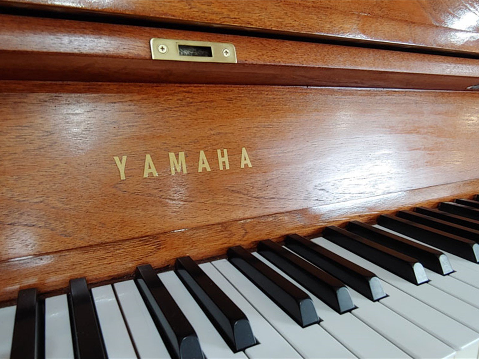 Yc22
