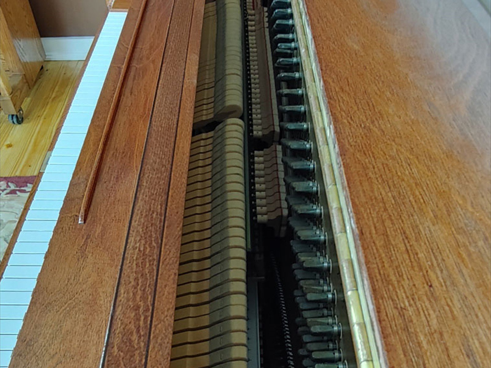 Yc7